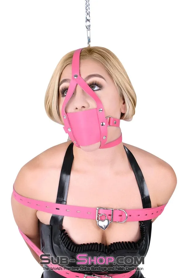 Autumn Vibrators 3426A Hot Pink Silencer Panel Style Ballgag Trainer