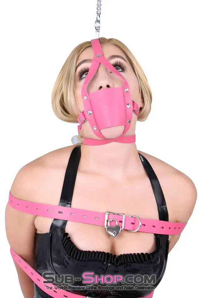 Autumn Vibrators 3426A Hot Pink Silencer Panel Style Ballgag Trainer