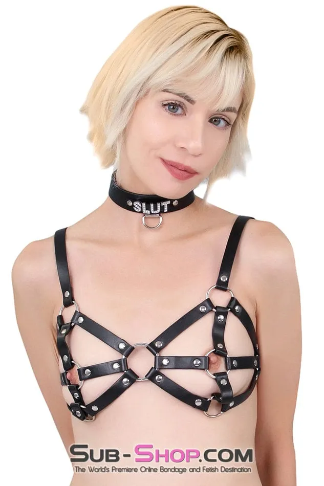 Male Sex Toys Raysent 9897RS Breast Cage Bondage Bra