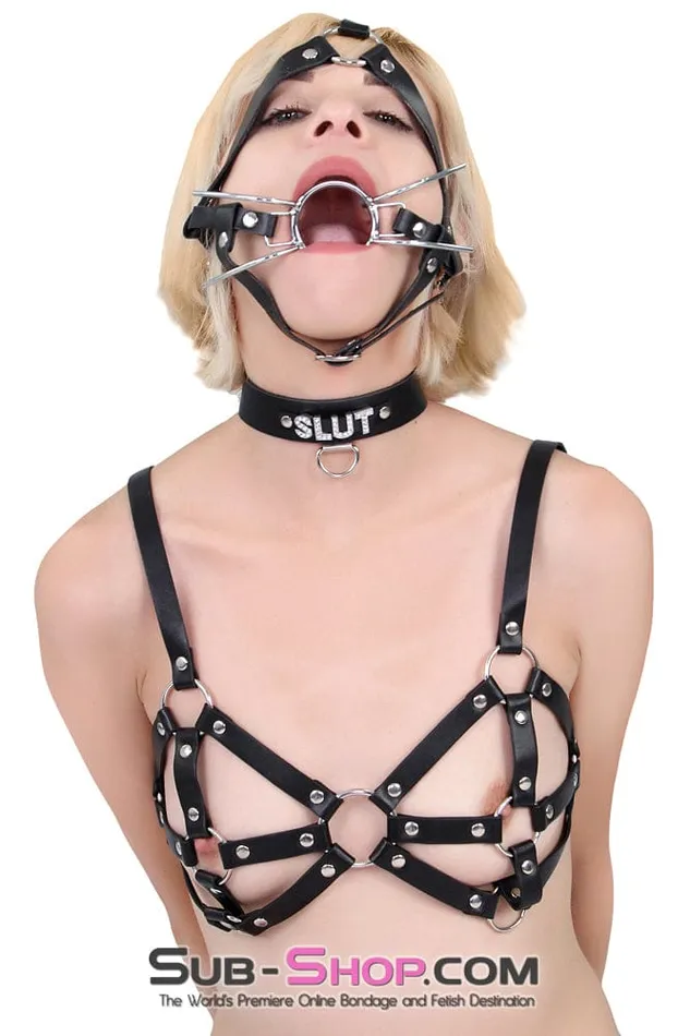 Male Sex Toys Raysent 9897RS Breast Cage Bondage Bra