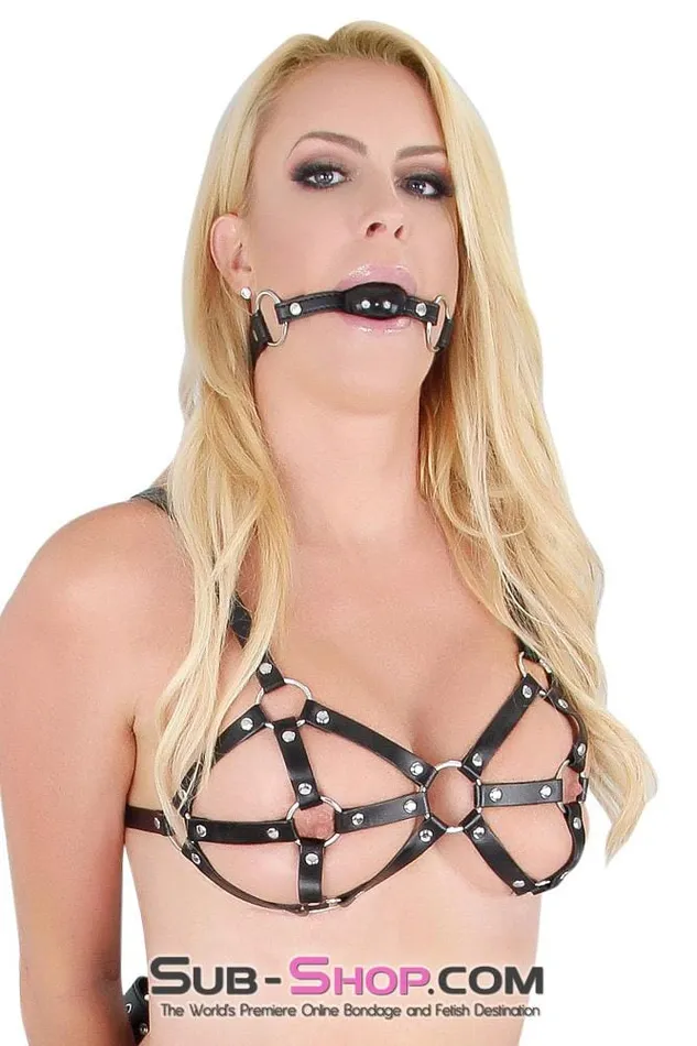 Male Sex Toys Raysent 9897RS Breast Cage Bondage Bra