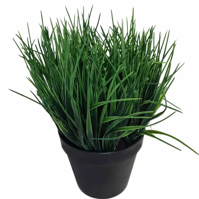 Artificial Ornamental Potted Dense Green Grass UV Resistant 30cm Overstock Clearance ShhhSof Vibrators Artificial Ornamental Potted Dense Green Grass UV Resistant 30cm Overstock Clearance ShhhSof Vibrators
