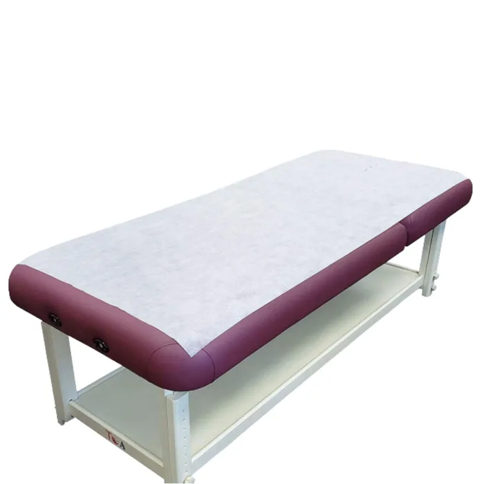 Enhancers ShhhSof Disposable PP Bed Sheet Roll 80cm W x 160cm L 40 sheet pack Enhancers ShhhSof Disposable PP Bed Sheet Roll 80cm W x 160cm L 40 sheet pack