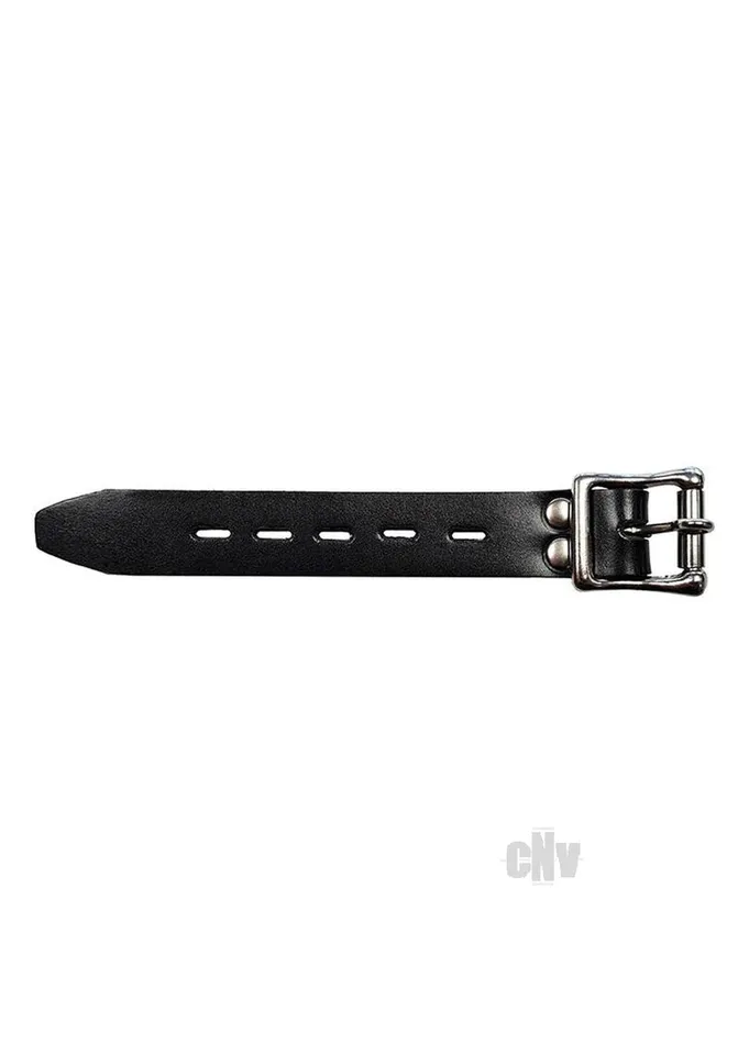 Fairvillacom Anal Padded Range Extender Black