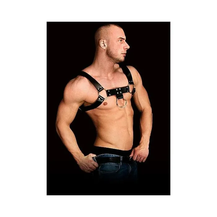 Fairvillacom Anal Shots Ouch Costas Solid Structure 1 Body Harness Black