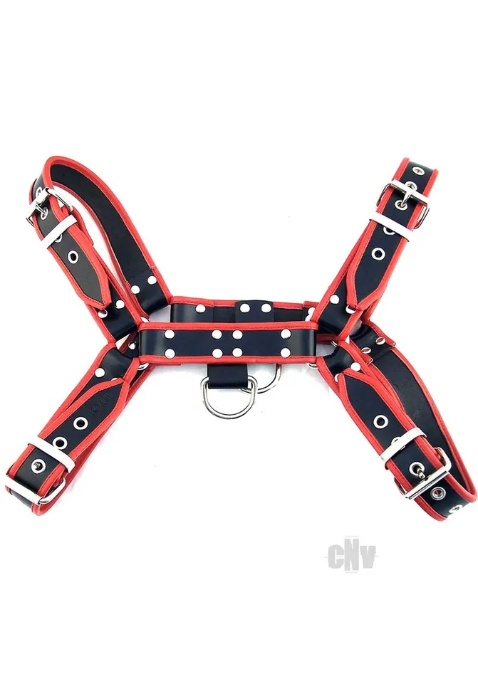 Fairvillacom Female Sex Toys Rouge Oth Front Harness Md Blkrd