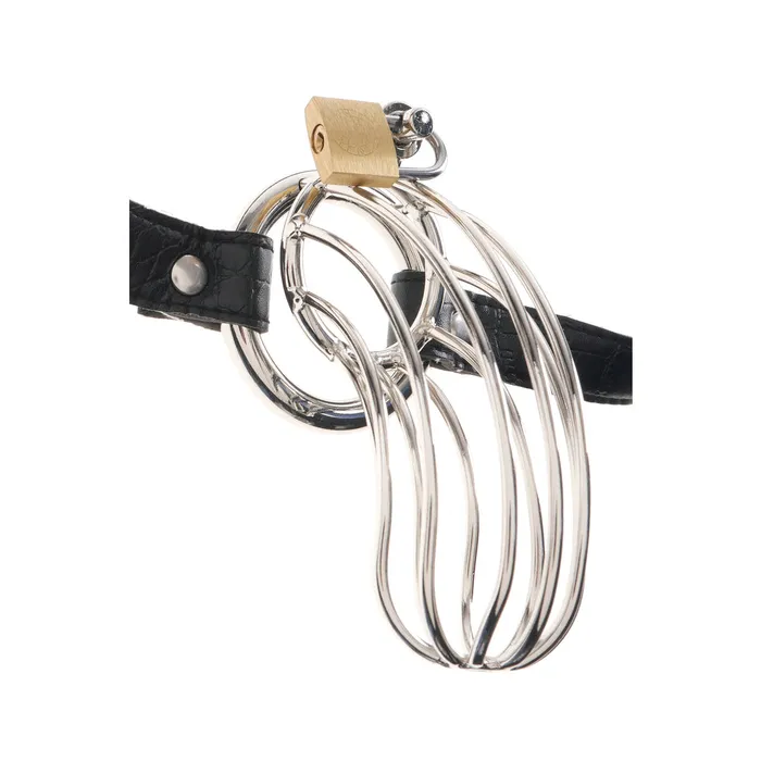 Fairvillacom Fetish Fantasy Extreme The Prisoner Metal Cock Cage Male Sex Toys