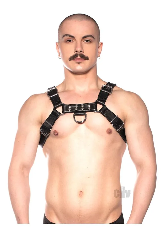 Fairvillacom Vibrators Prowler Red Bull Harness Blk Xxlg