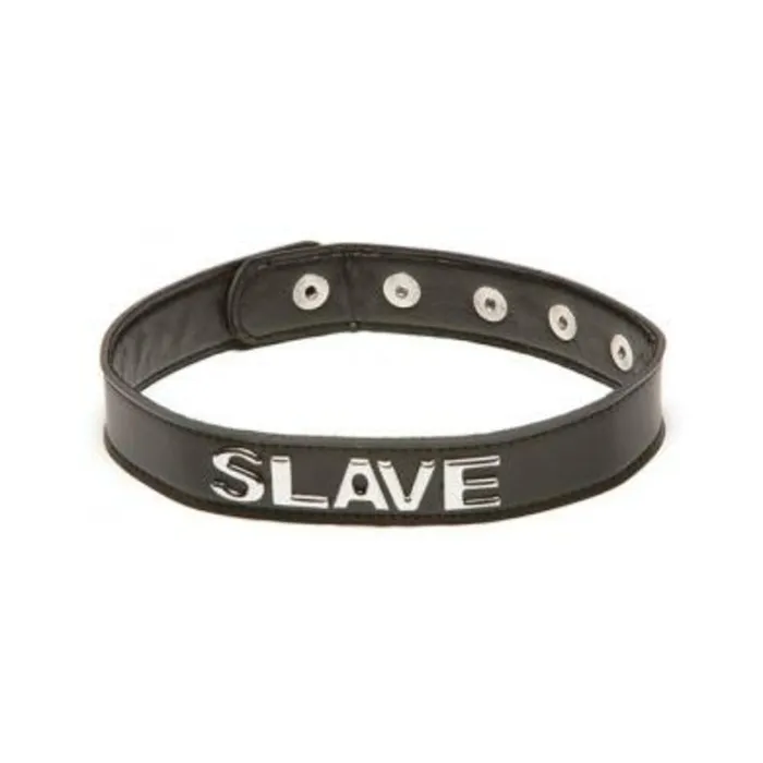 Fairvillacom Vibrators Talk Dirty To Me Collar Slave