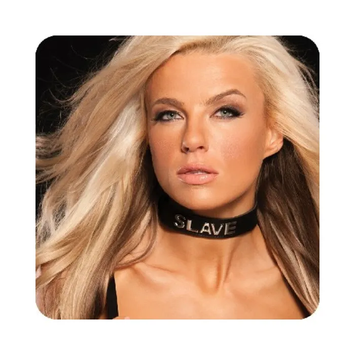 Fairvillacom Vibrators Talk Dirty To Me Collar Slave