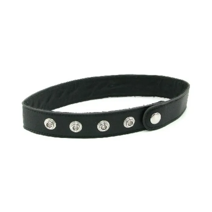 Fairvillacom Vibrators Talk Dirty To Me Collar Slave
