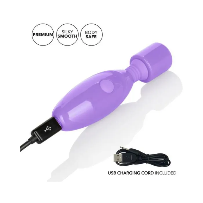 Female Sex Toys Dr Laura Berman Olivia Rechargeable Mini Massager With Attachments Fairvillacom