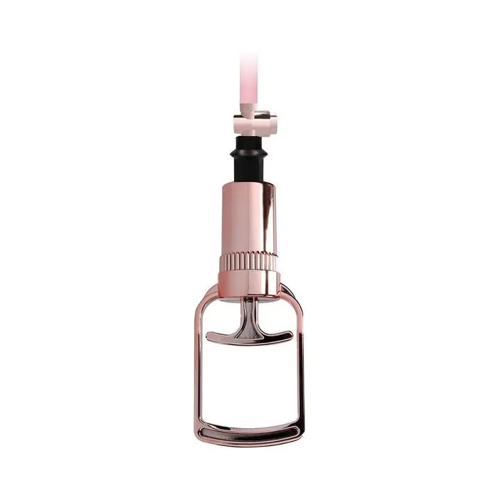Female Sex Toys Fairvillacom Pumped Clitoral Nipple Pump Set Medium Rose