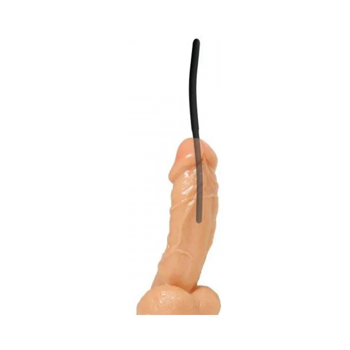 Isabella Sinclaire Silicone Urethral Sound Trainer Set Fairvillacom Male Sex Toys Isabella Sinclaire Silicone Urethral Sound Trainer Set Fairvillacom Male Sex Toys