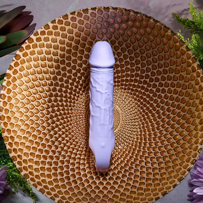 ShhhWndsr Vibrators Evolved FANTASY ShhhWndsr Vibrators Evolved FANTASY