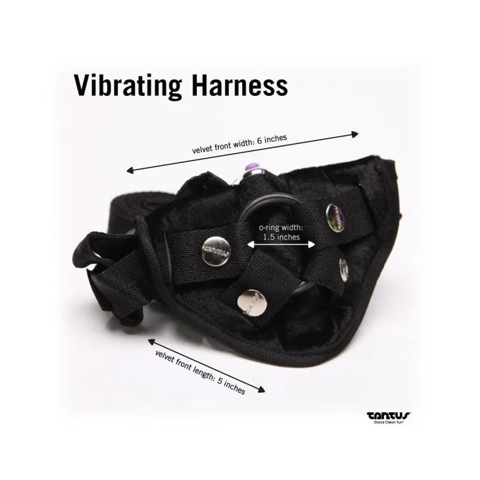 Tantus Bend Over Beginner Kit BLK Clam Fairvillacom Couples
