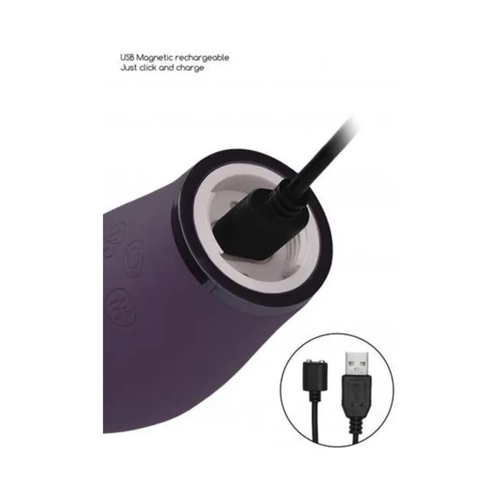 Vibrators Fairvillacom Pleasure Kit 3 Purple