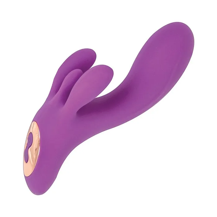 Vibrators Fairvillacom Vibes Of New York Triple Tickler Massagerpurple