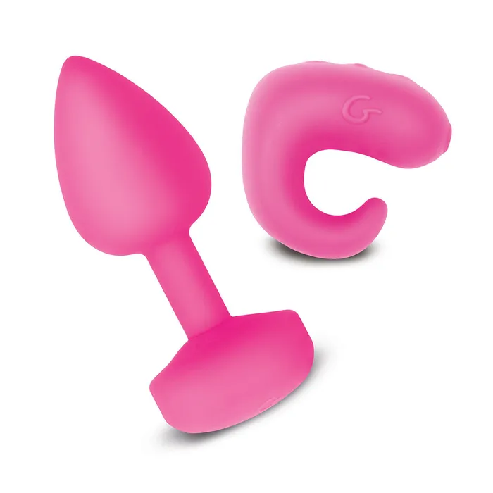 Vibrators Gvibe Gkit Sunny Raspberry Fairvillacom